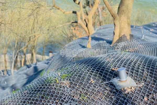 邊坡防護網檢測