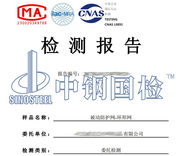 防護網檢測報告