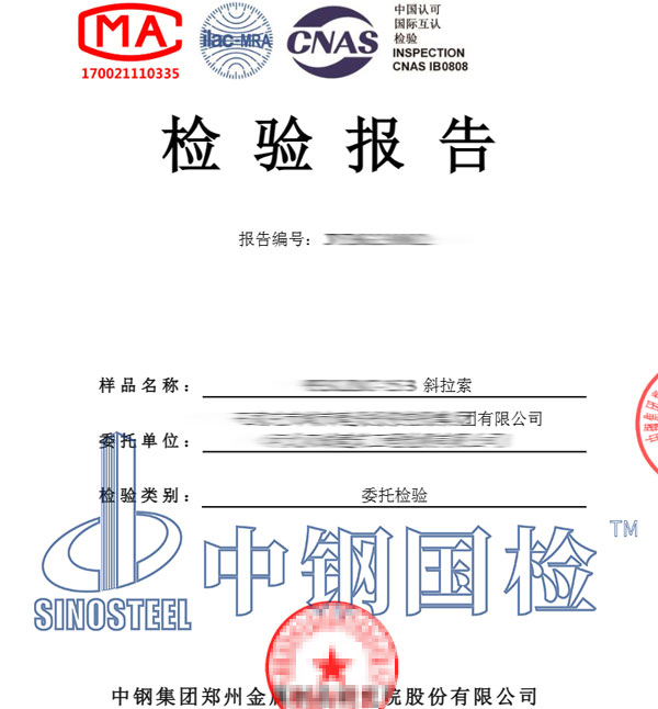 斜拉索檢測(cè)報(bào)告