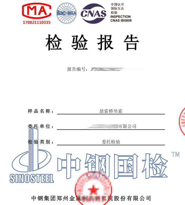 懸索橋檢測報告