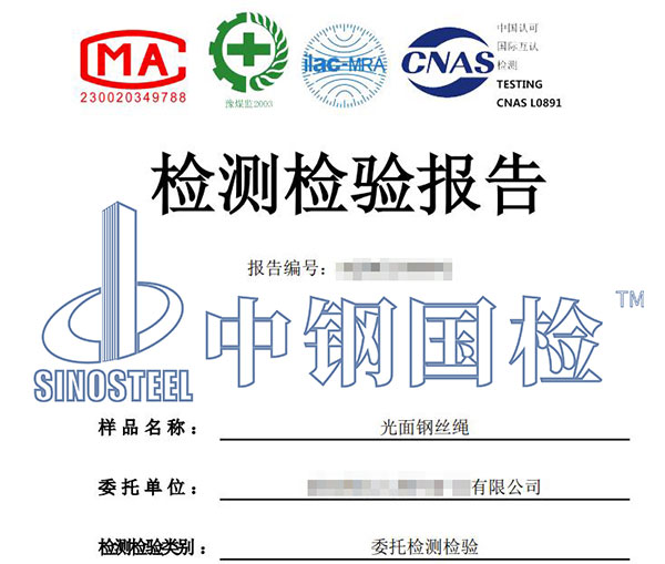 鋼絲繩檢測報告